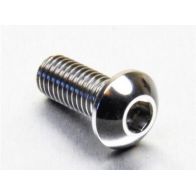 Vis de disque de frein avant inox GRP SSDISCDUC30