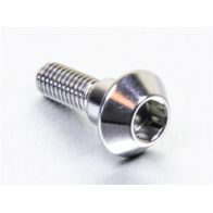 Vis de disque de frein avant inox GRP LSSDISCYAM