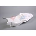 Carénage poly GRP pour BMW S1000RR 17-18 5