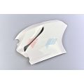 Carénage poly GRP pour Ducati 959/1299 Panigale 5