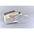Carénage poly GRP pour Ducati 959/1299 Panigale 6