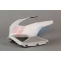 Carénage poly GRP pour Ducati Panigale V4 18-21 2