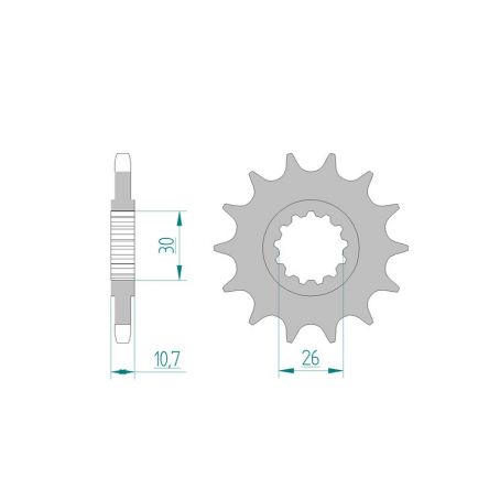 Pignon Afam 525 acier 21607