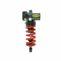 Amortisseur K-Tech DDS Pro pour Triumph 765 Street Triple 17-24 0