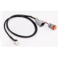 Faisceau T02 pour Healtech Speedohealer V4 0