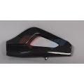 Protections de bras oscillant carbone GRP pour BMW S1000RR 19-26/S1000R 21-24/M1000RR 21-26 2
