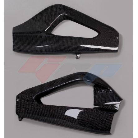 Protections de bras oscillant carbone GRP pour BMW S1000RR 19-26/S1000R 21-24/M1000RR 21-26