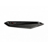 Pare chaleur carbone Akrapovic pour BMW F900R/F900XR 20-24