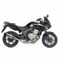 Silencieux Leovince LV One Evo pour Honda CBF600 05-12 0