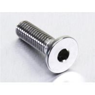 Vis de disque de frein avant inox GRP LSSDISCBMW001