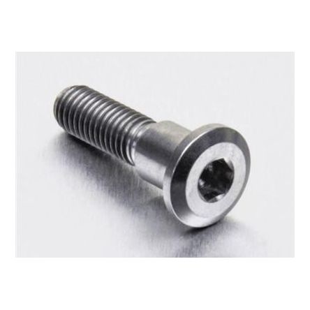 Vis de disque de frein avant inox GRP LSSDISCGSXR