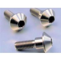 Vis de disque de frein avant inox GRP LSSDISCSUZ10