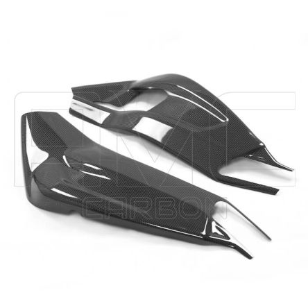 Protections de bras oscillant AMC Carbon pour BMW S1000RR 09-18/S1000R 14-20