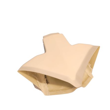 Prise d'air SEBIMOTO pour Ducati Panigale V4R 23
