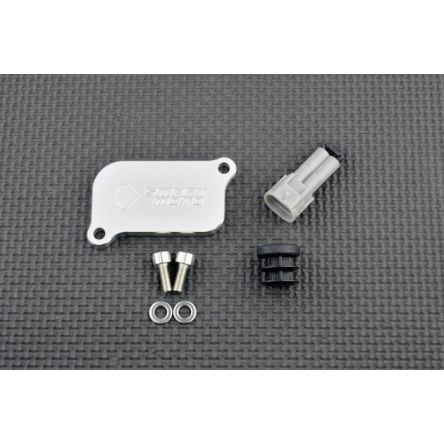 Kit de suppression d'antipollution Smart Moto PLE-214