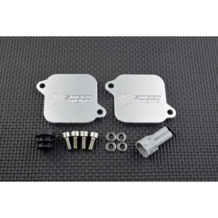 Kit de suppression d'antipollution Smart Moto PLE-118