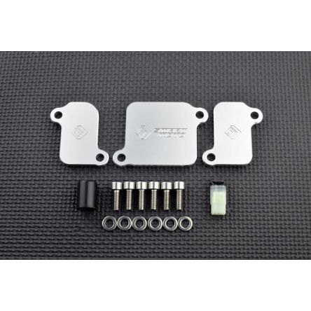 Kit de suppression d'antipollution Smart Moto PLE-311