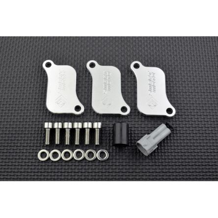 Kit de suppression d'antipollution Smart Moto PLE-322
