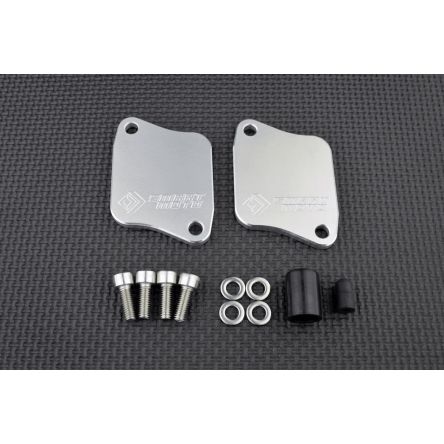Kit de suppression d'antipollution Smart Moto BLP-109