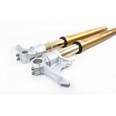 Fourche Ohlins FGRT pour Ducati Diavel 1200 11-17
