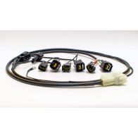 Faisceau Healtech QSH-P1H pour shifter Quickshifter Easy