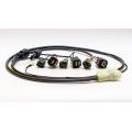 Faisceau Healtech QSH-P1H pour shifter Quickshifter Easy 1