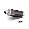 Silencieux Mivv Dakar pour BMW F900GS 24-25 3