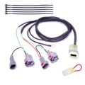 Faisceau Healtech QSH-F2B pour shifter Quickshifter Easy 0
