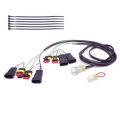 Faisceau Healtech QSH-P4F pour shifter Quickshifter Easy 0