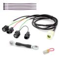 Faisceau Healtech QSR-F2F pour shifter Quickshifter Easy 0