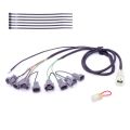Shifter Healtech Quickshifter Easy IQSE-W1 + Faisceau Healtech QSH-F4B 1
