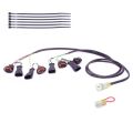 Shifter Healtech Quickshifter Easy IQSE-W1 + Faisceau Healtech QSH-P4E 1