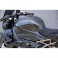 Carénage poly S2 Concept pour BMW S1000R 20-25 5