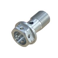 Vis simple banjo acier inoxydable percée M10X125