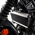 Grille de protection de radiateur Pro R&G Honda CMX500 Rebel 17-24/CL500 23-24 1