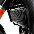 Grille de protection de radiateur R&G CFMoto 300NK 20-24 1