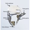 Flanc gauche Sebimoto pour Yamaha R9 25-26 0