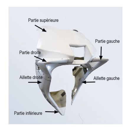 Flanc droit Sebimoto pour Yamaha R9 25-26
