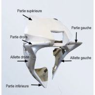 Flanc droit Sebimoto pour Yamaha R9 25-26