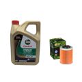 Pack 4L d'huile Castrol Power 1 Ultimate 10W-50 + Filtre a huile HF152 offert 0