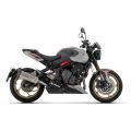 Silencieux Arrow Indy Race Evo homologué pour Triumph Trident 800 26 1