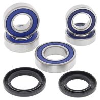 DESTOCKAGE - Roulements de roue arrière All-Balls 25-1099