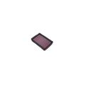 Filtre a air DNA P-BM12E13-01 pour BMW 0
