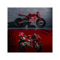 Draisienne Kiddimoto Ducati Desmo GP 3