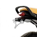 Support de plaque R&G pour Triumph Scrambler 400/Speed 400 24-26 3