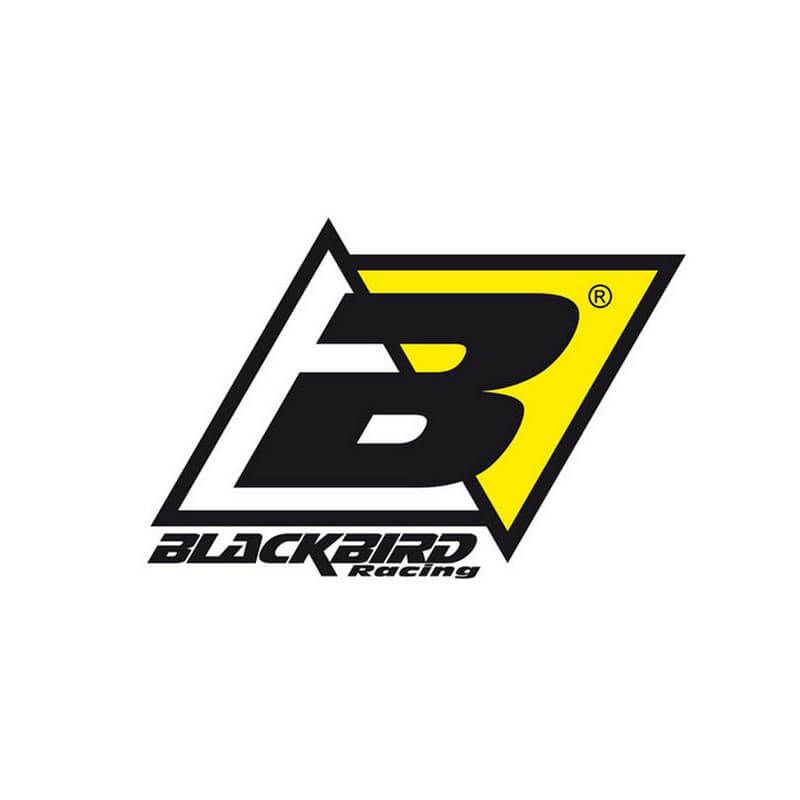 Blackbird